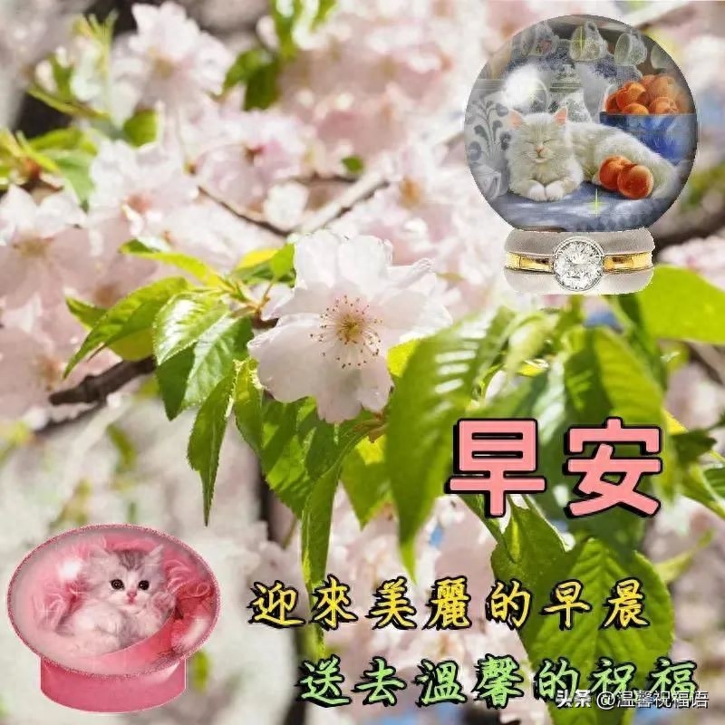 2023年10月17日周二早上好 最新版唯美好看祝福语图片带字问候短句(图6)