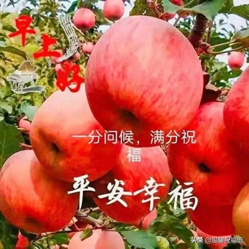 2023年10月17日周二早上好 最新版唯美好看祝福语图片带字问候短句(图9)