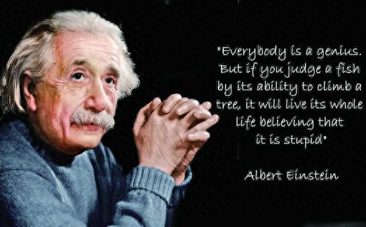 10分钟读懂《爱因斯坦传》：这是一个人所能拥有的最高级的智慧(图7)