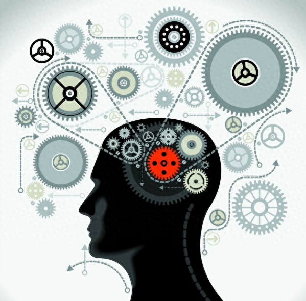 爱因斯坦：“保持你的好奇心”，好奇心，是送给孩子最珍贵的礼物(图6)