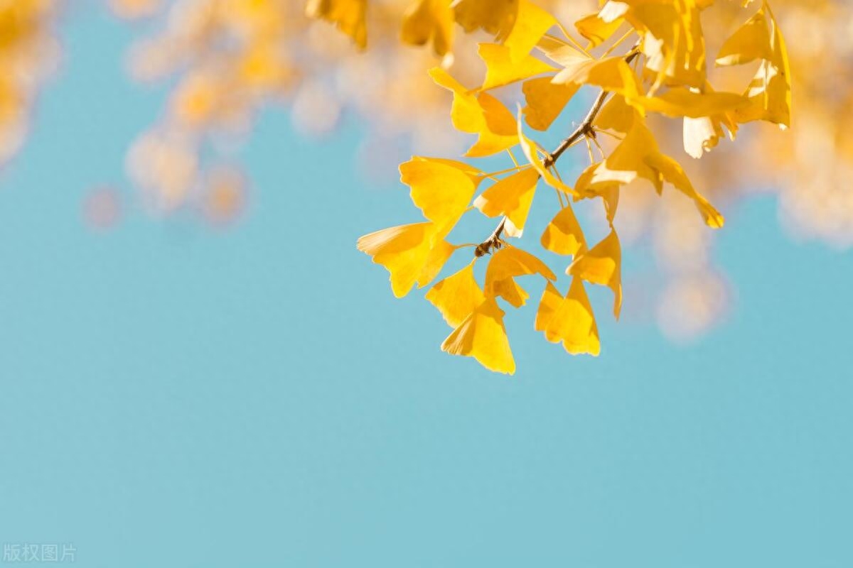 杂七杂八的小众文案：生活细碎，万物成诗；愿星河徜徉，一路有光(图2)