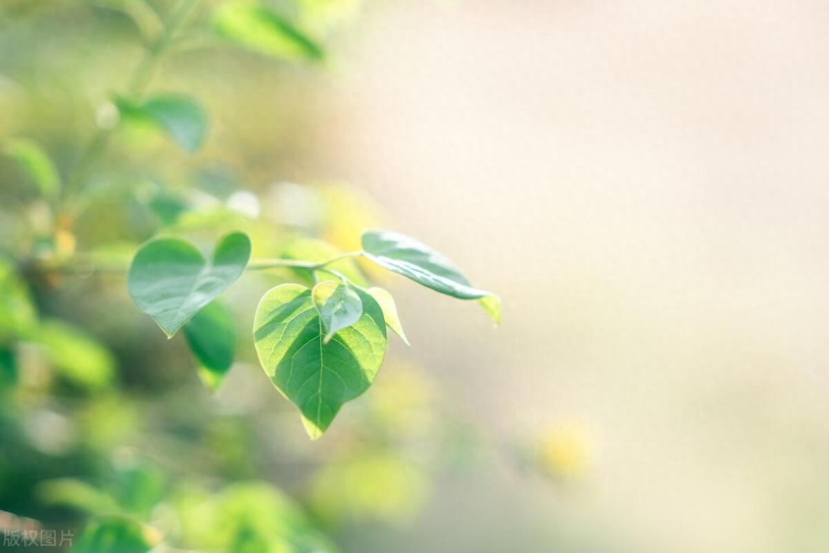 杂七杂八的小众文案：生活细碎，万物成诗；愿星河徜徉，一路有光(图3)