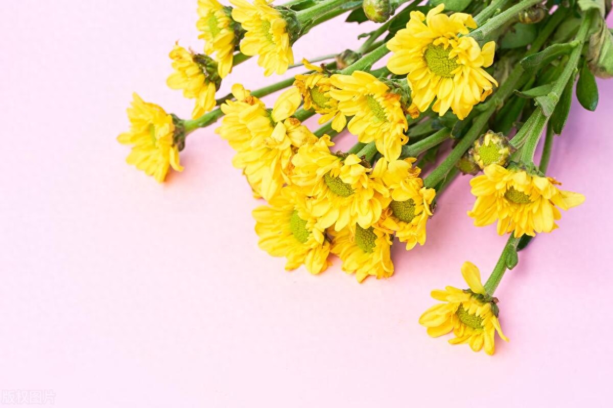 杂七杂八的小众文案：生活细碎，万物成诗；愿星河徜徉，一路有光(图4)