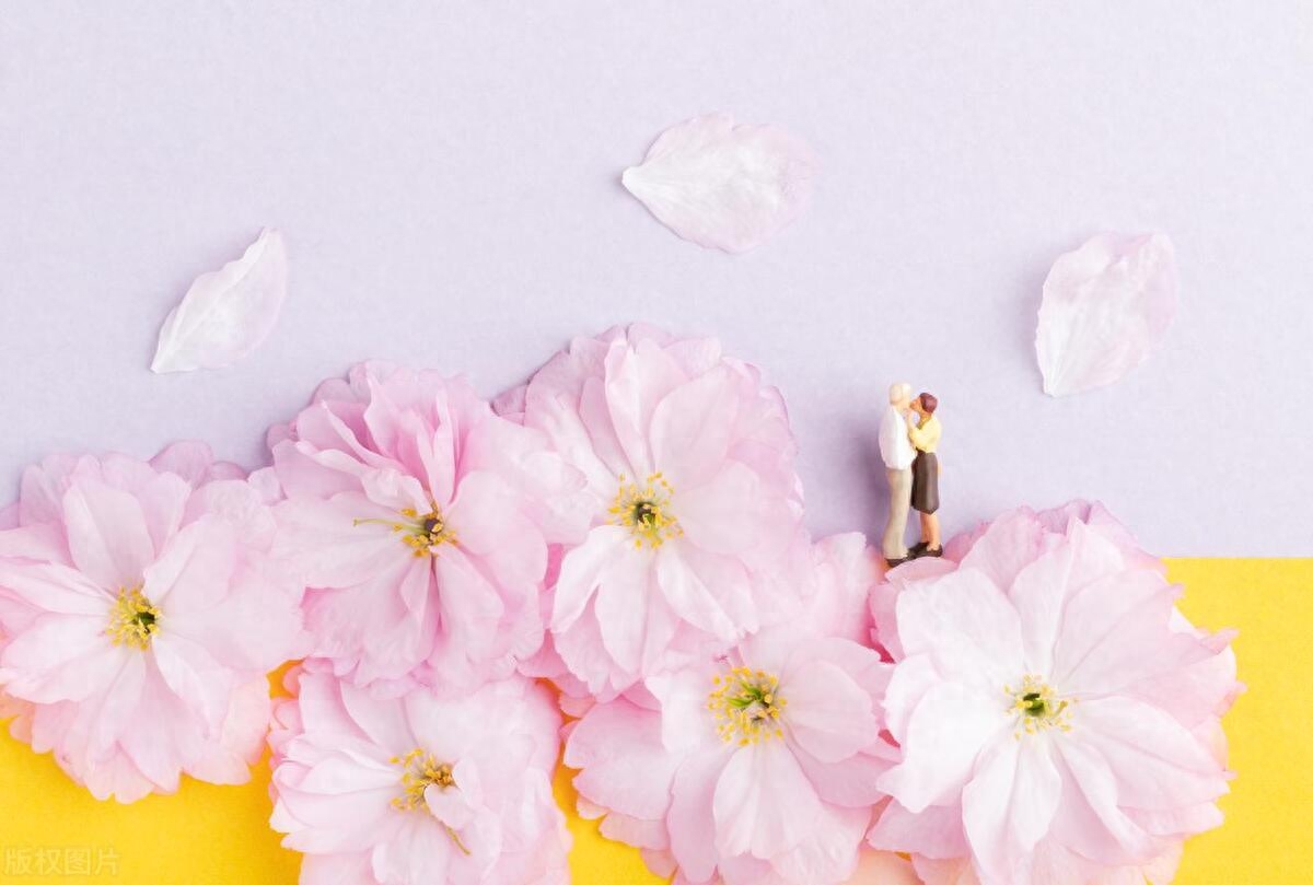 杂七杂八的小众文案：生活细碎，万物成诗；愿星河徜徉，一路有光(图6)