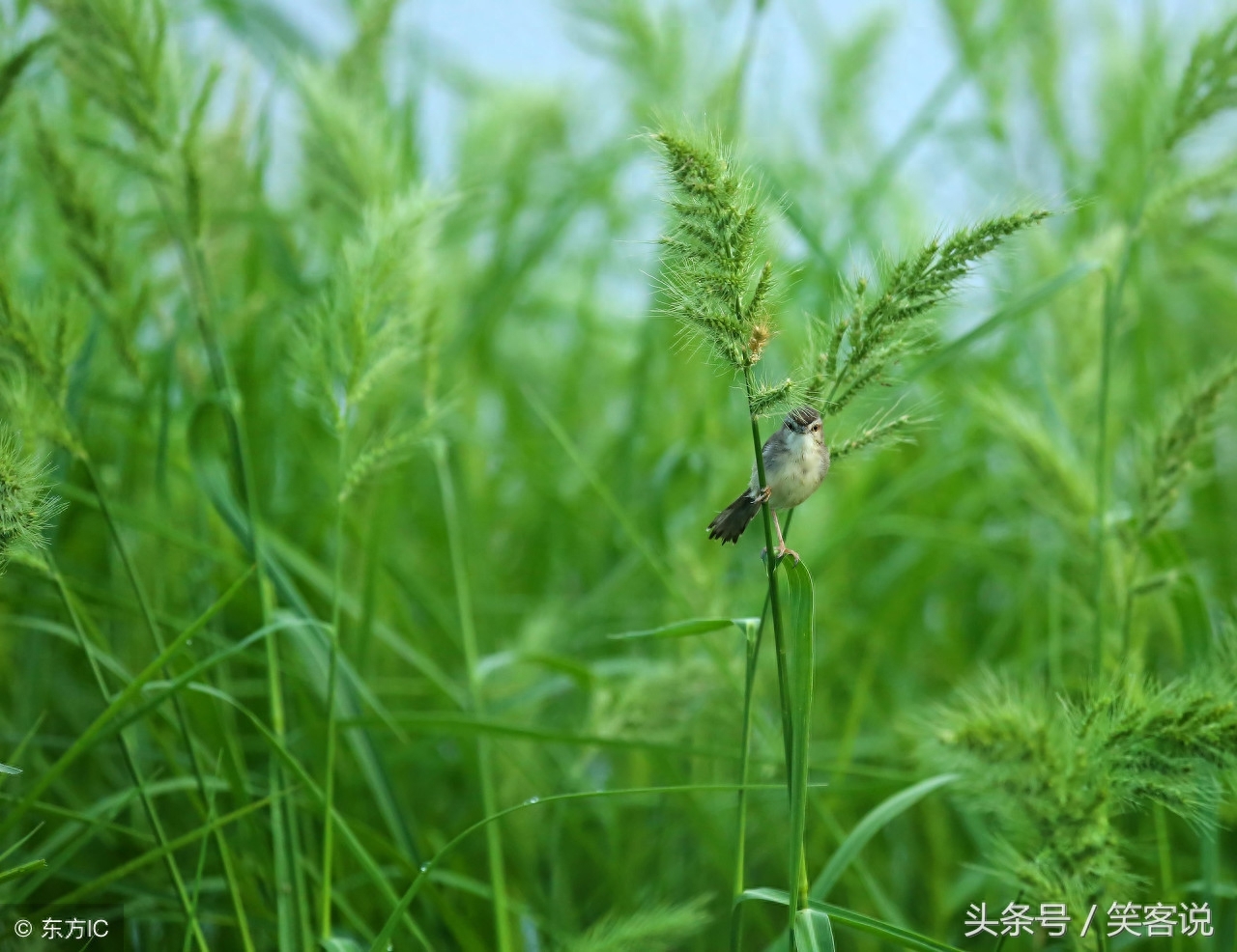 非常精辟的句子：人生需要反思，才能在品味得失和甘苦中升华(图1)