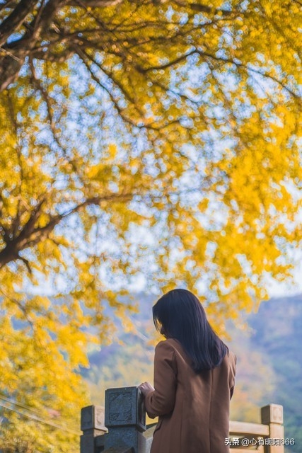 人到中年人生感悟，晚安心语，正能量语录(图3)