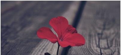 国学文化里,最美的6则精语,参透人生,终身受用!(图1) 国学文化里,最美的6则精语,参透人生,终身受用!(图1)