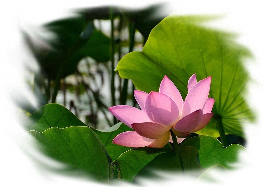 100句国学经典名句大全！建议收藏(图2)