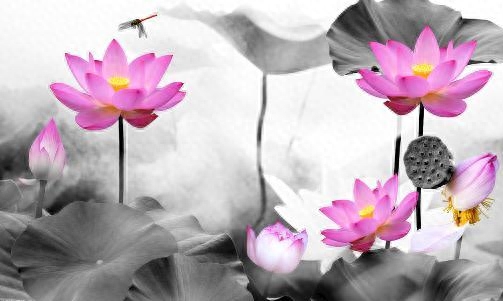 100句国学经典名句大全！建议收藏(图3)