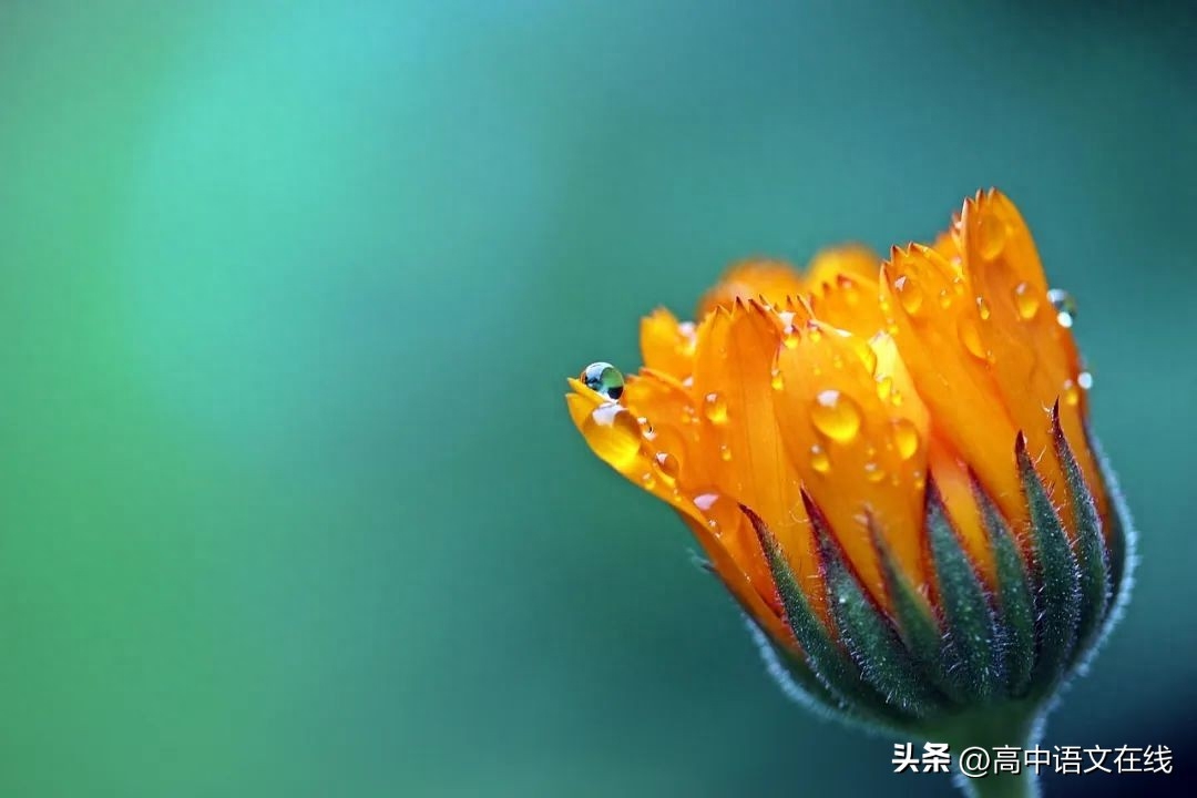 最美古诗词丨花间一壶酒，且消今日愁(图1)