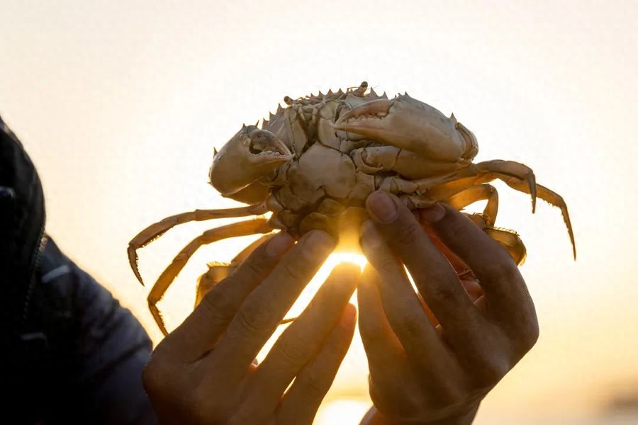 人间温暖，不过一日三餐～(图19)