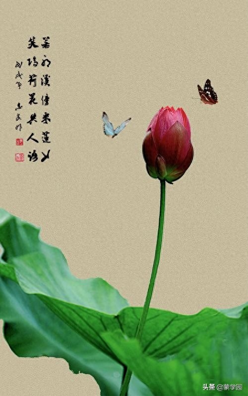 400句 春夏秋冬诗词名句，绝佳的作文积累，收藏起来！(图4)