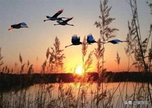 400句 春夏秋冬诗词名句，绝佳的作文积累，收藏起来！(图6)