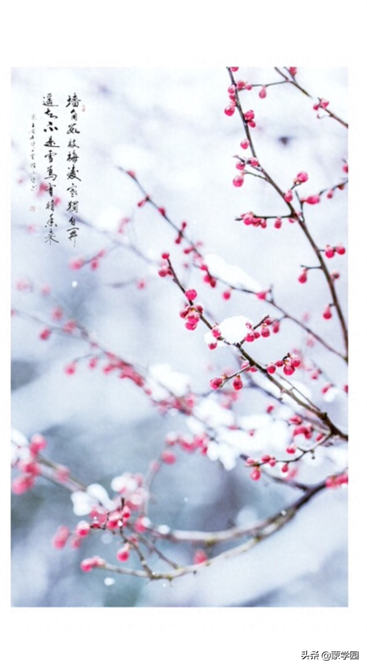 400句 春夏秋冬诗词名句，绝佳的作文积累，收藏起来！(图7)