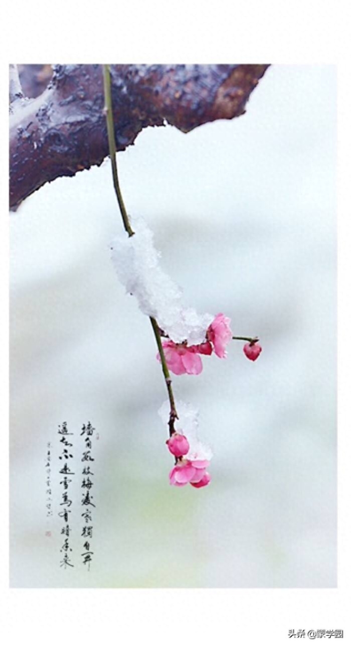 400句 春夏秋冬诗词名句，绝佳的作文积累，收藏起来！(图8)