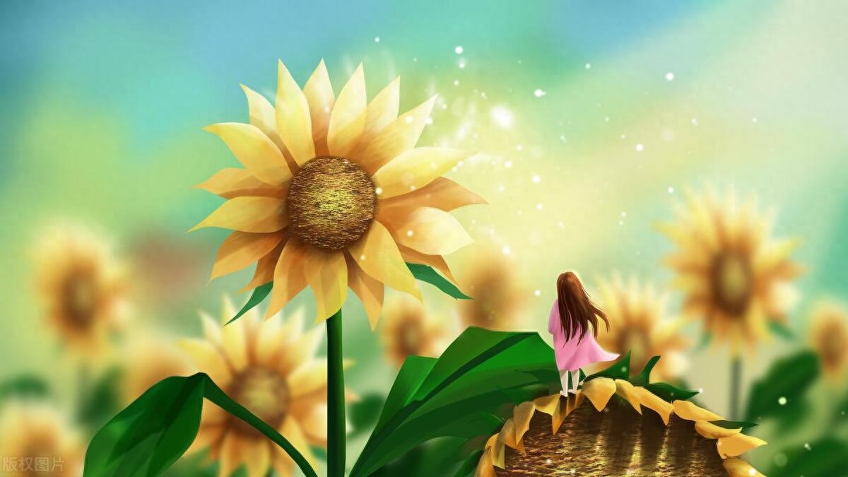 开朗自信的阳光句子，无论如何，你要一路善良！(图3)