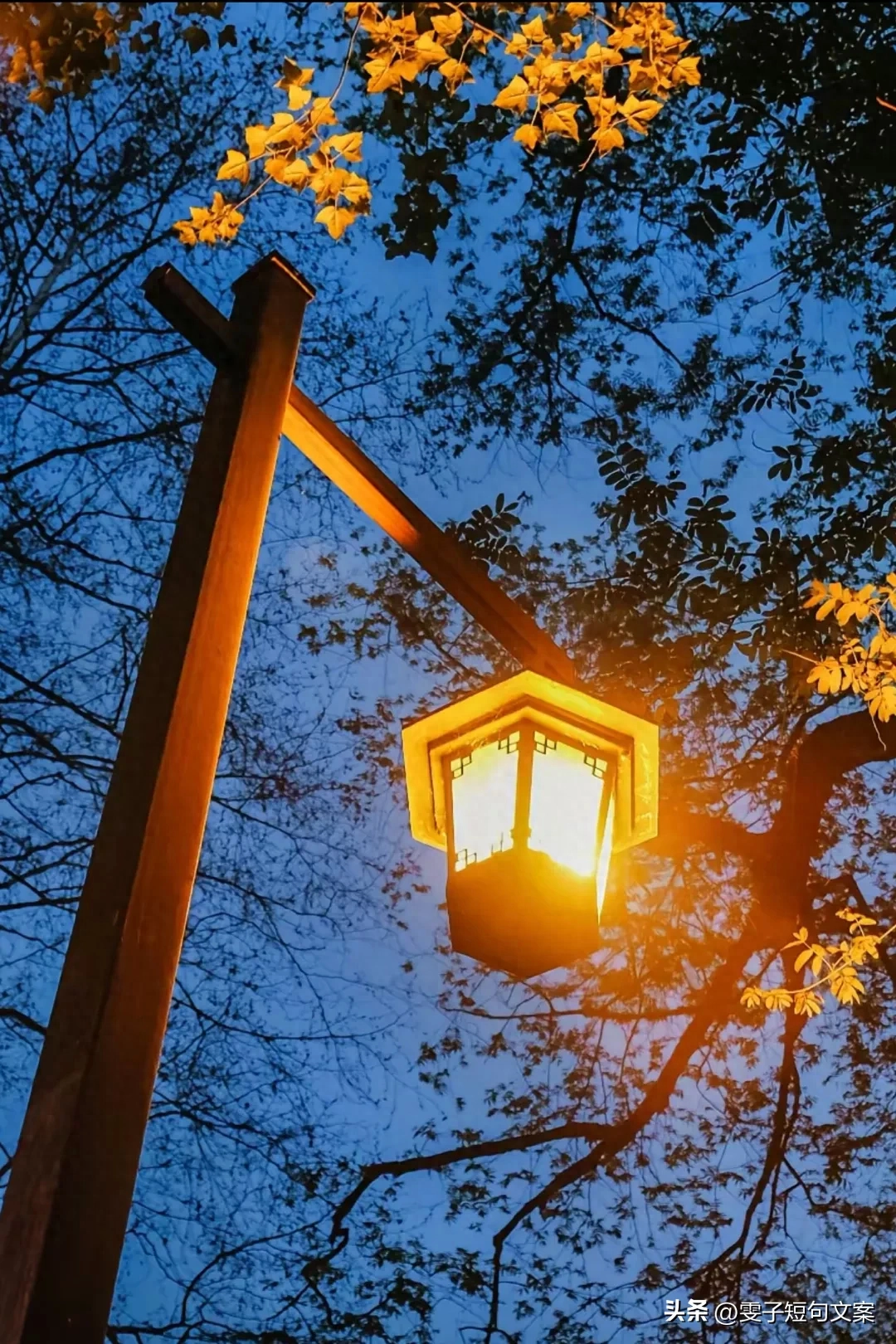 深夜失眠文案~不敢睡觉，怕睡醒之后又要起来打工(图1)