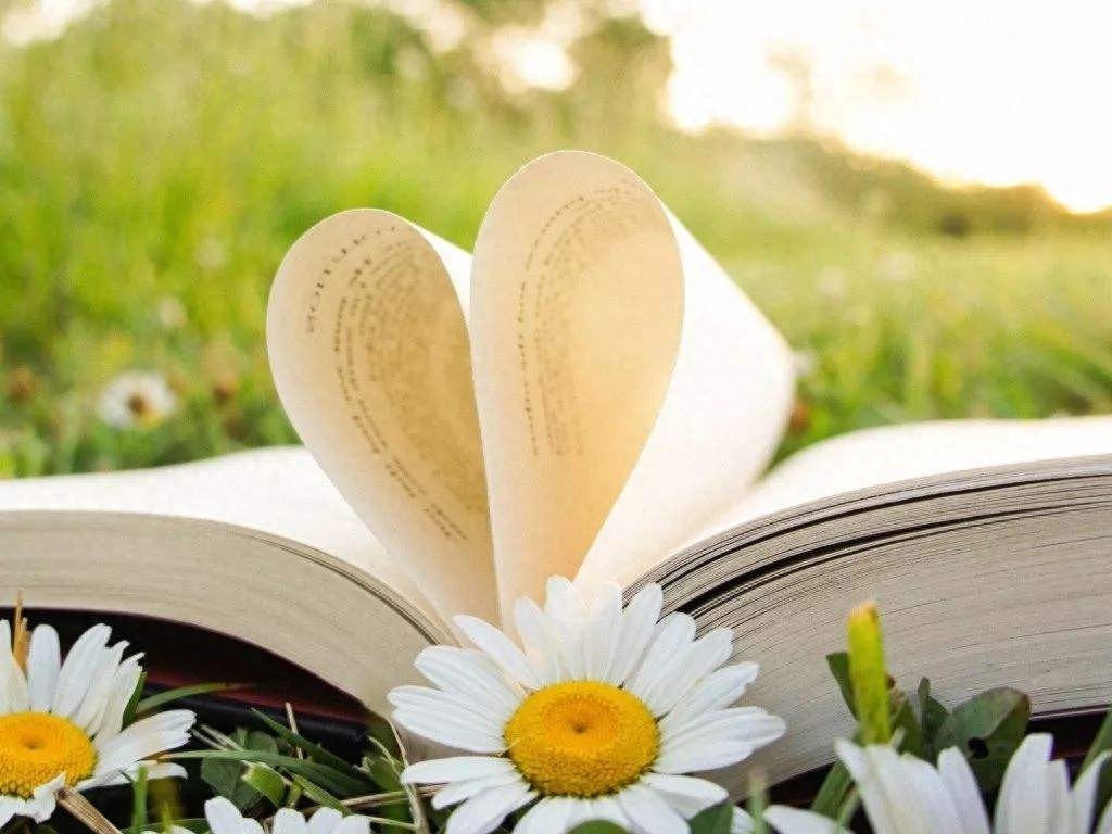 30句为人处世格言，句句正能量，充满人生智慧，值得收藏激励自己(图4)