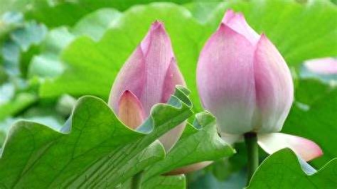 30句为人处世格言，句句正能量，充满人生智慧，值得收藏激励自己(图9)