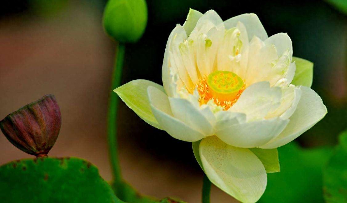 30句为人处世格言，句句正能量，充满人生智慧，值得收藏激励自己(图12)