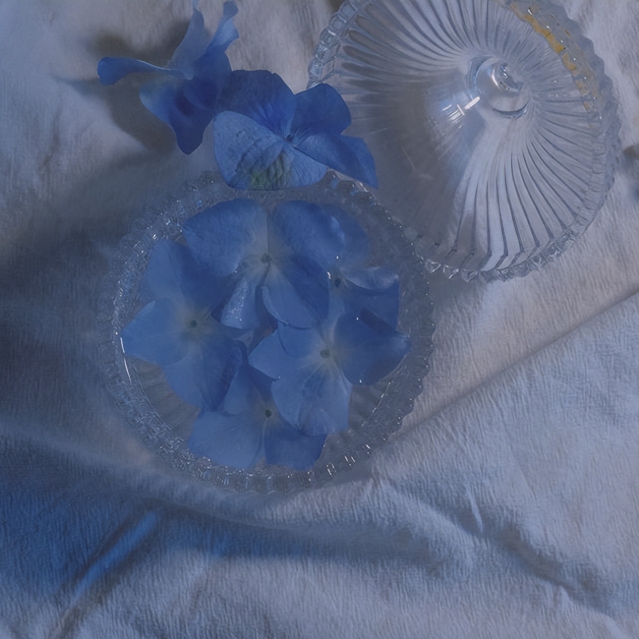 适合当个签的极简风文案短句(图2)