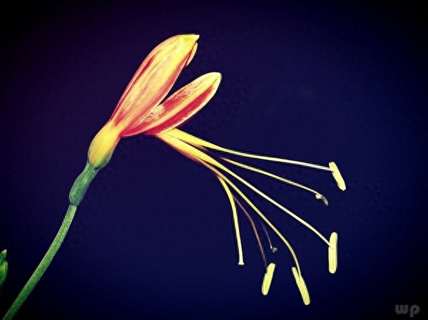 最简短的经典说说，精辟耐回味，读了好几遍(图3)