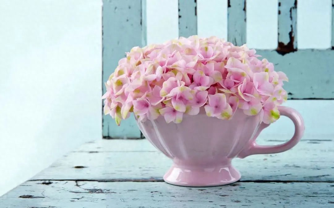 女生感冒了，这20句暖心的话能带给她温暖和力量！(图4)