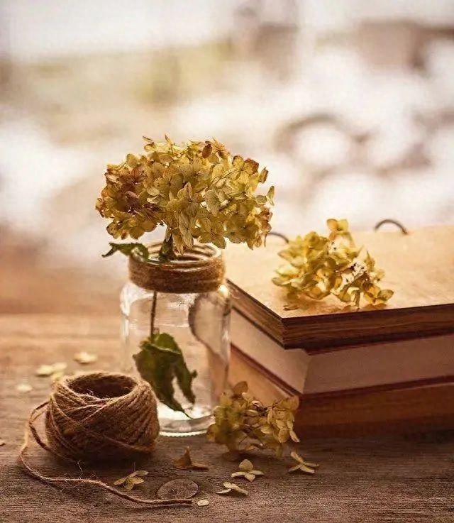 女生感冒了，这20句暖心的话能带给她温暖和力量！(图5)