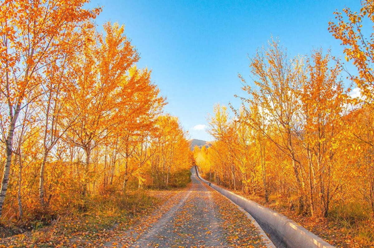 感冒了发朋友圈说说文案幽默简短一（30条）(图3)