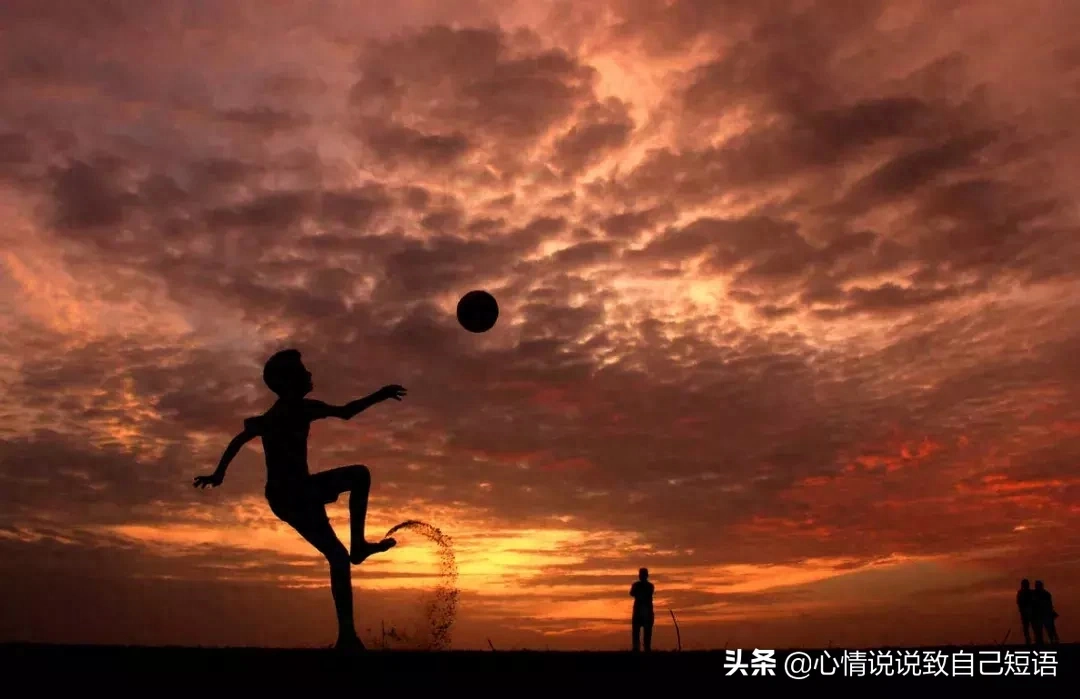 感情正能量励志句子，正能量语录｜愿你的爱情，只有彩虹，没有风雨(图4)