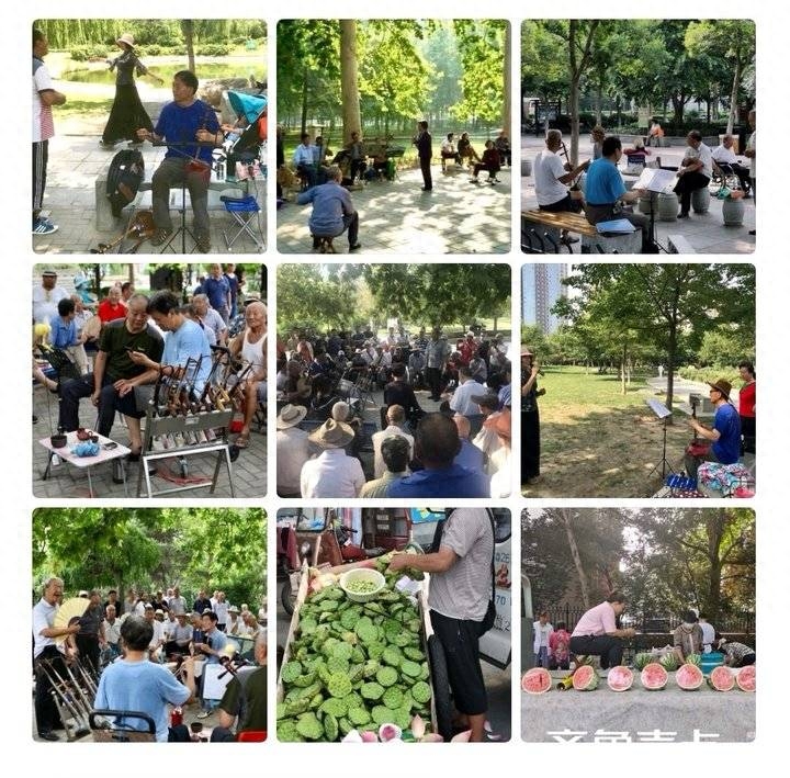 西楼诗作【81】游园即景八首(图4)