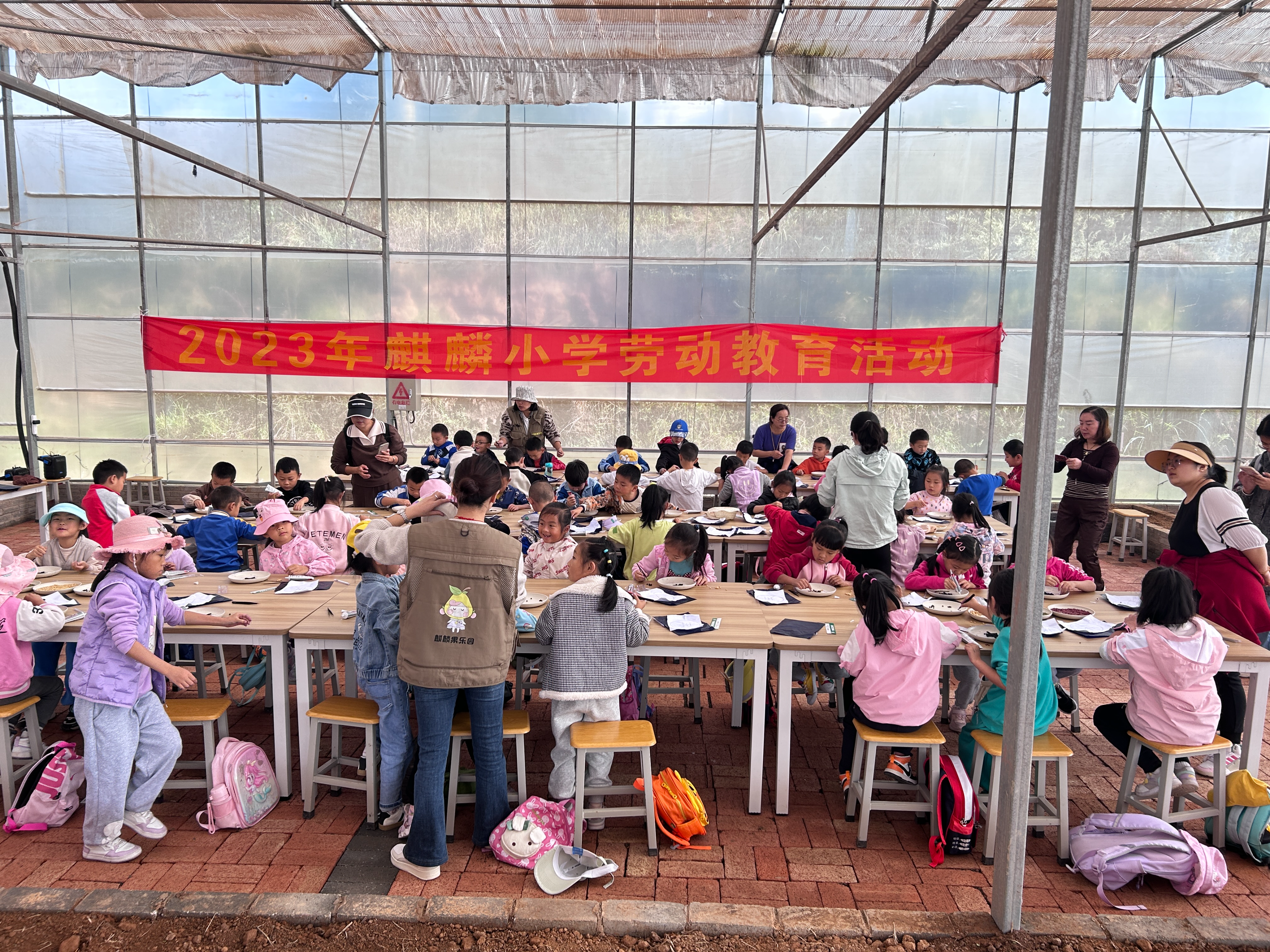 把“劳动的种子”深植孩子心间——陪学麒麟小学“劳动和研学实践活动”有感(图4)