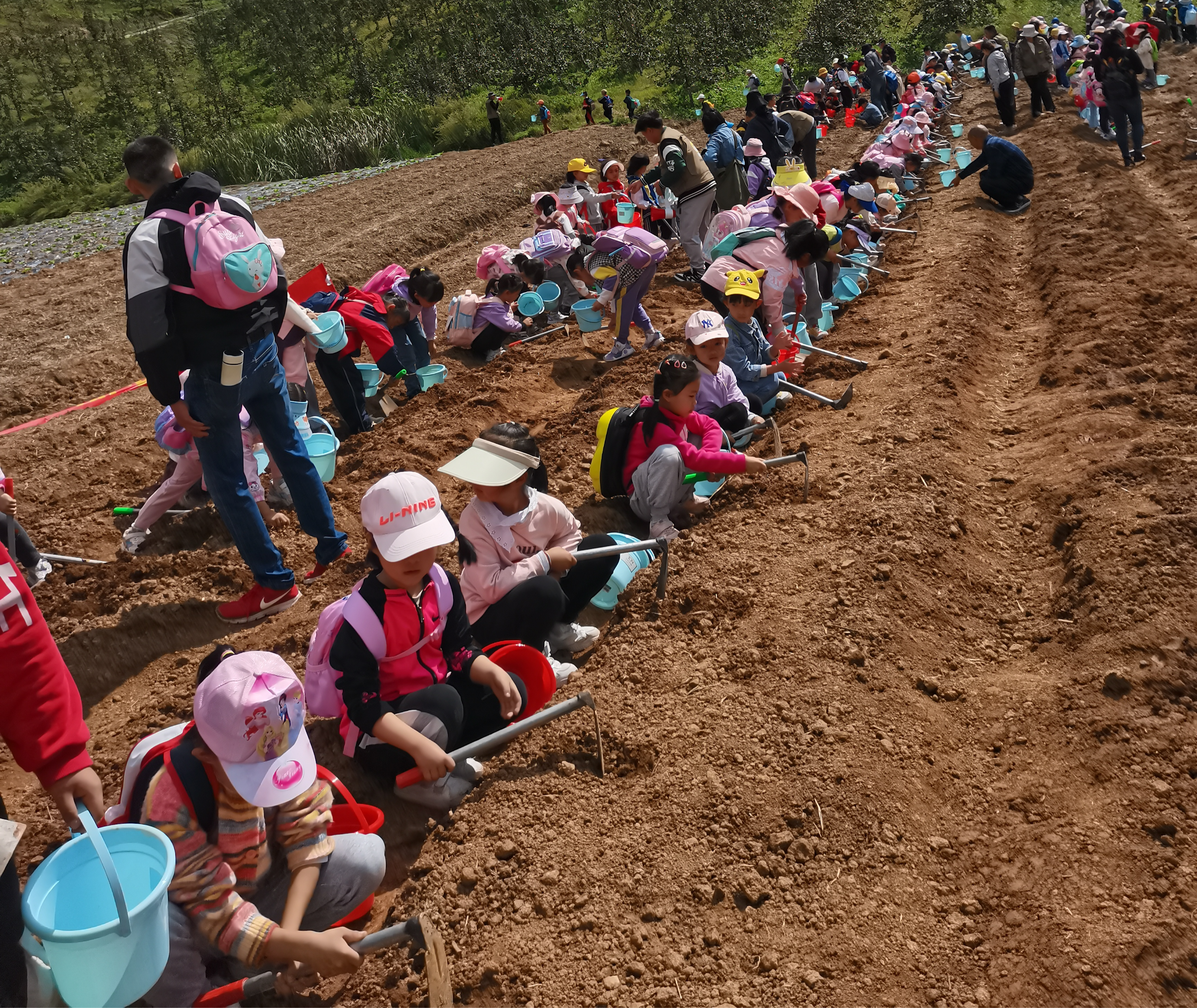 把“劳动的种子”深植孩子心间——陪学麒麟小学“劳动和研学实践活动”有感(图6)