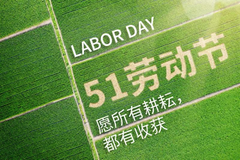 你孩子的每一次劳动，都在打磨他自己的人生(图1)