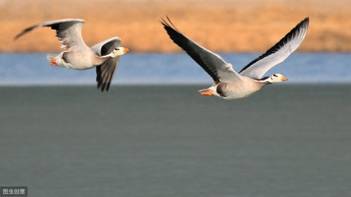 关于爱情的10大英文名言：无论世事如何变迁，你是否依然相信爱情(图6)