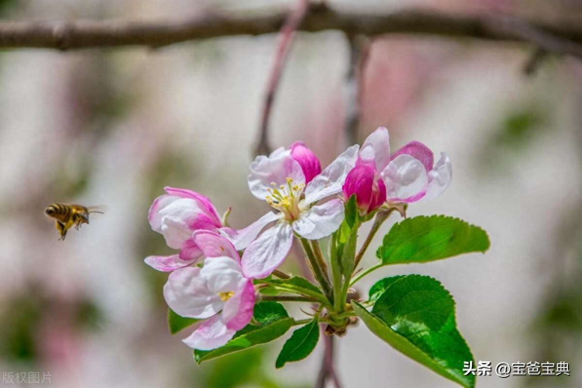 50条简短走心的句子(图5)