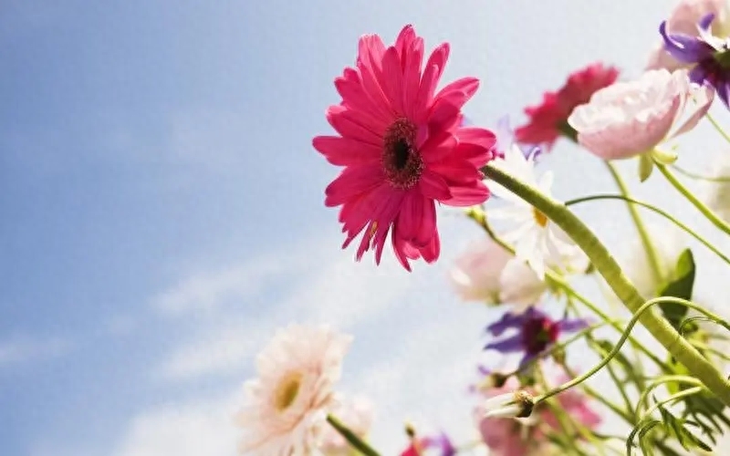 100条又短又好的句子(图1)