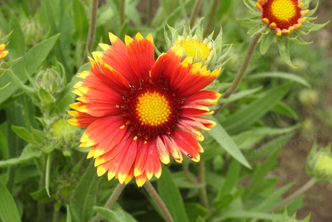 100条又短又好的句子(图3)