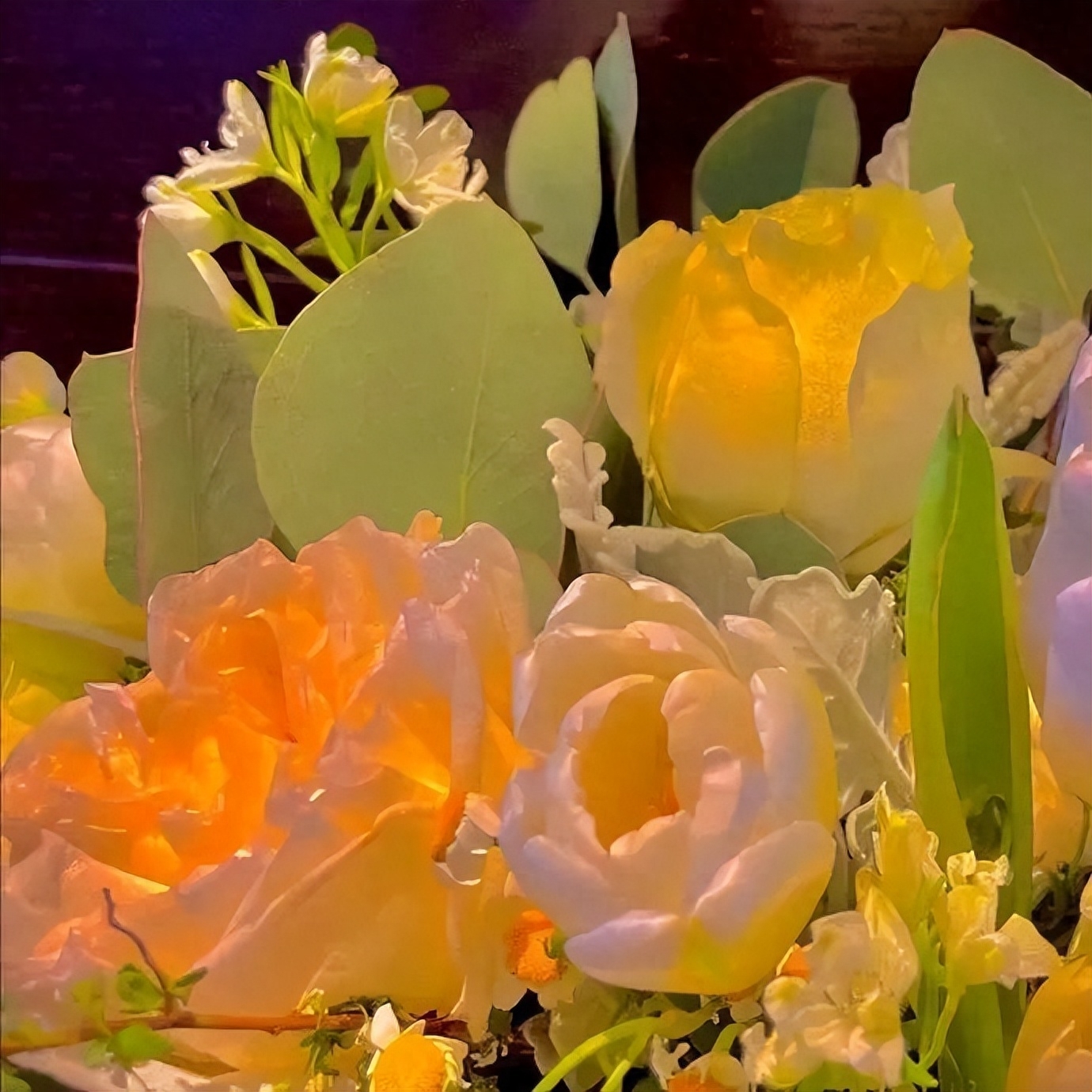 签名文案：运气交给锦鲤，你只管努力就行。(图1)