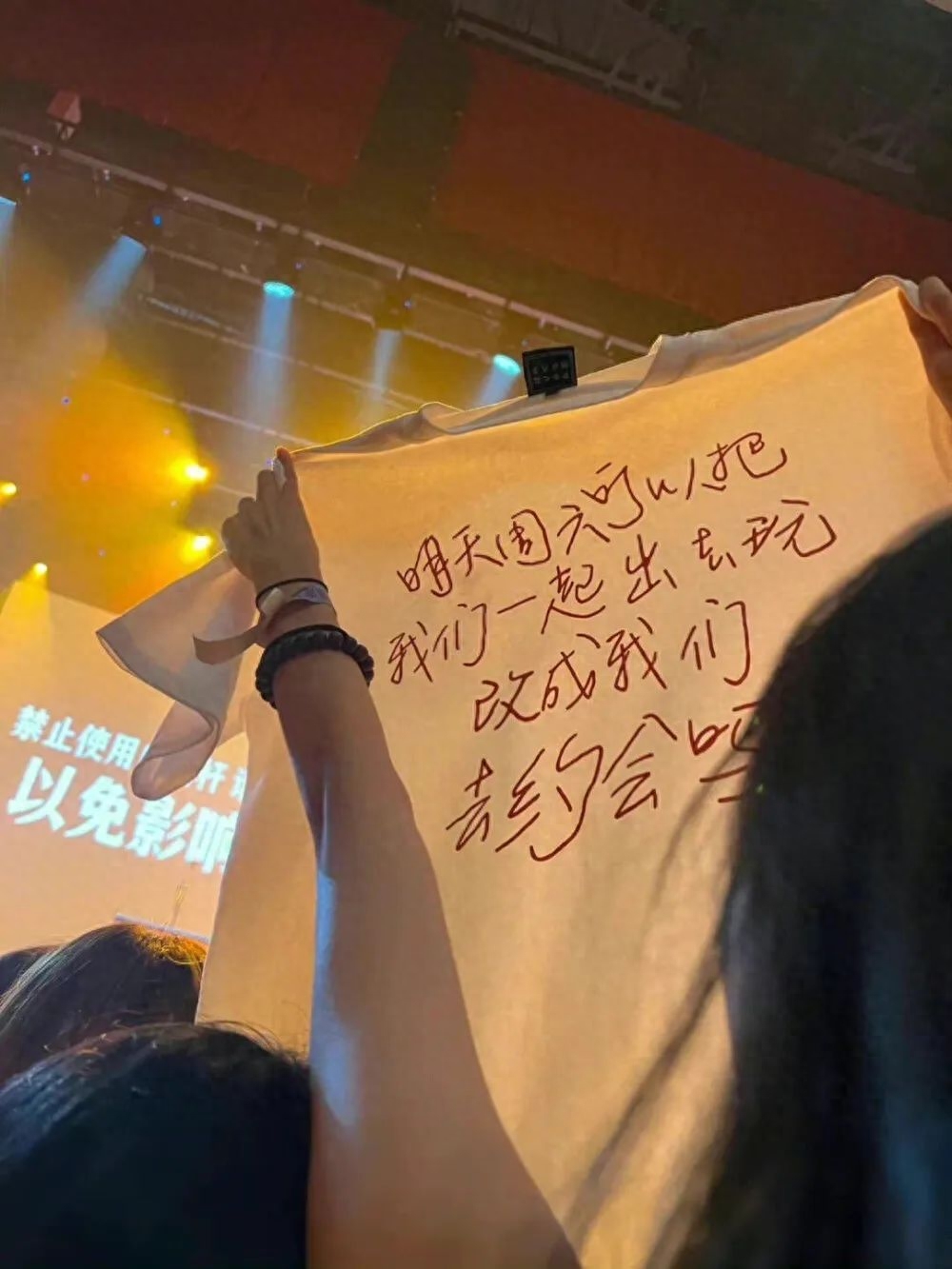 签名文案：运气交给锦鲤，你只管努力就行。(图4)