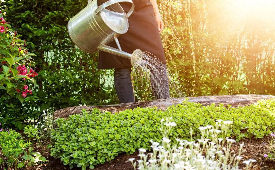 用这5句英语口语，和朋友聊兴趣爱好不再尴尬！(图7)