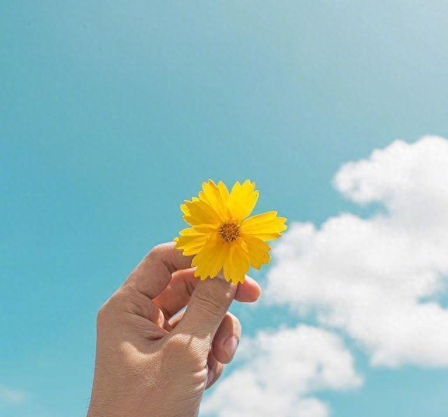 文艺精致的早安心语，看一眼就念念不忘！(图2)