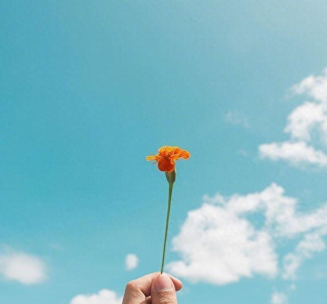 文艺精致的早安心语，看一眼就念念不忘！(图4)