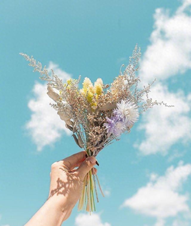 文艺精致的早安心语，看一眼就念念不忘！(图5)