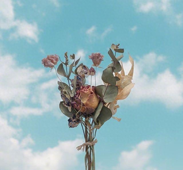 文艺精致的早安心语，看一眼就念念不忘！(图7)