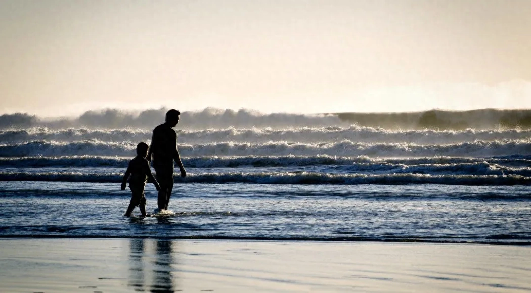 中国式父子关系：看不懂是幸运，看懂了是人生(图3)