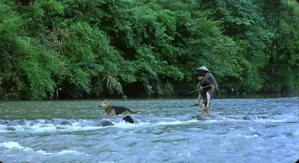 中国式父子关系：看不懂是幸运，看懂了是人生(图6)