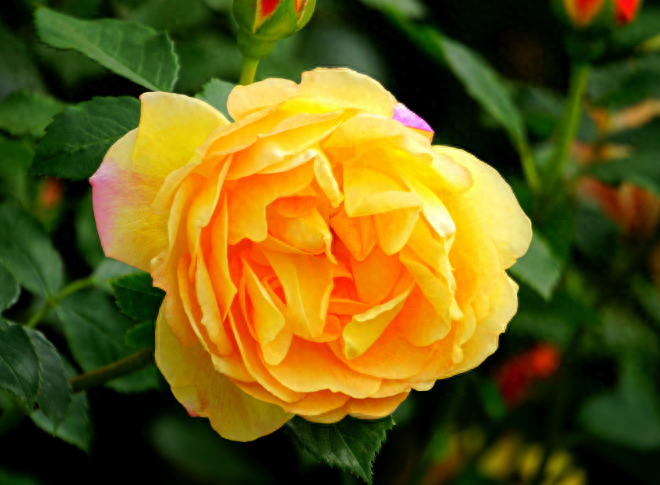 父母老，来日短，多陪伴，莫留憾(图3)