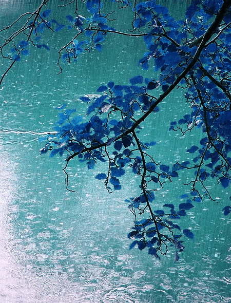 夜夜相思更漏残，伤心明月凭阑干，思念的情，相思的诗(图2)