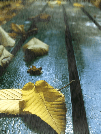 夜夜相思更漏残，伤心明月凭阑干，思念的情，相思的诗(图6)